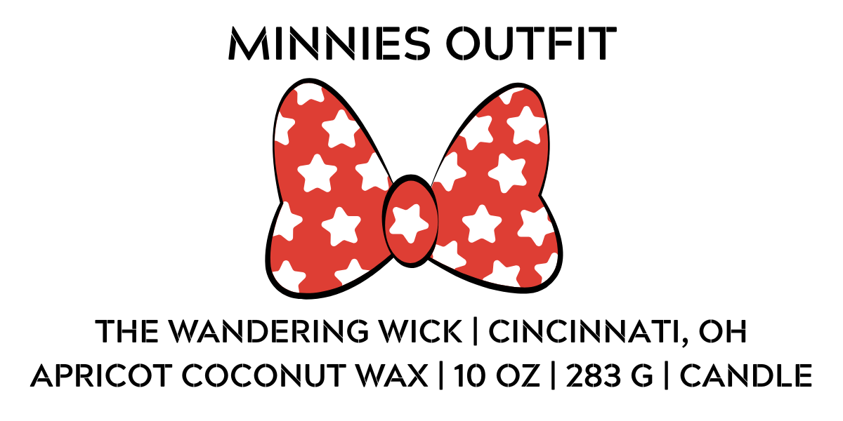 Minnies Outfit