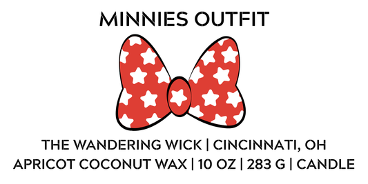 Minnies Outfit